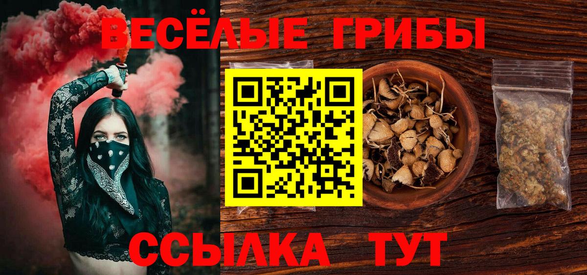 Зеленодольск  Псилоцибиновые грибы мицелий  Вход с VPN 
