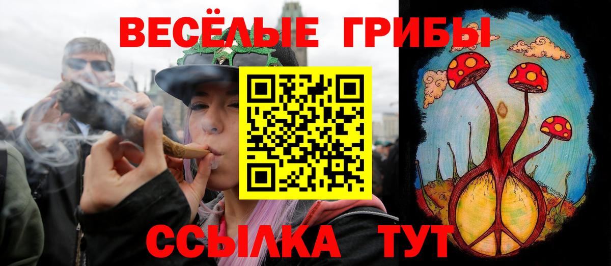 Галлюциногенные грибы Psilocybe Зеленодольск